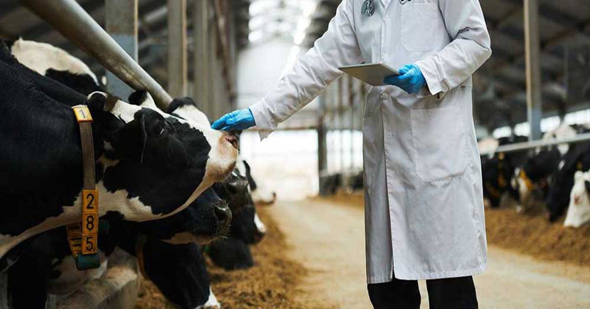 First IVF Lab for Livestock