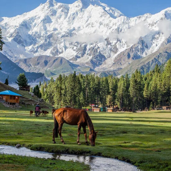 Fairy Meadows, Pakistan