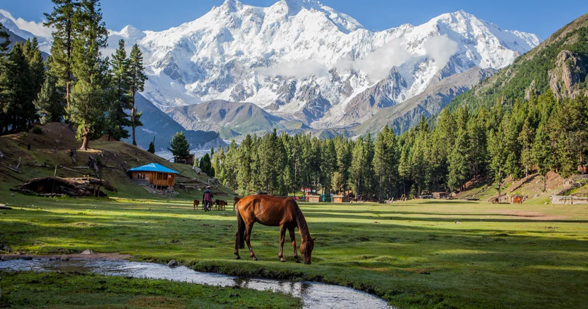 Fairy Meadows, Pakistan